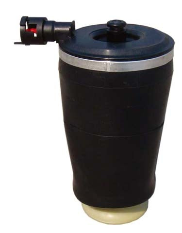 1C2001 BAG-OCS-FOR Ford Rear Air Spring EXPEDITION 2W Rear 97-02 ea