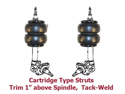 1985-1988 Nissan Maxima Rear Air Suspension ride kit. AIRBAGIT Airlift or Ridetech? =STRUT CARTRIDGE/WELD  REAR AXLE