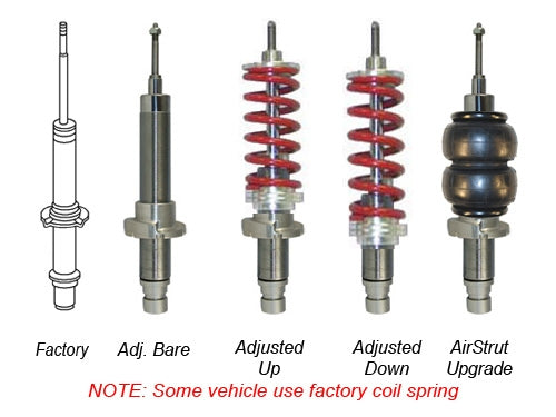 Lowboyz Lowboys 1-3"Shorter Than O.E. Rear-Acura STRUT Option ONLY