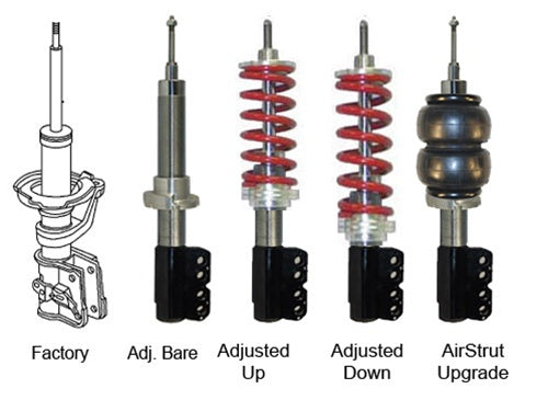 1995-1999 Neon Lowboyz Lowboys 1-3"Shorter Than O.E. Front