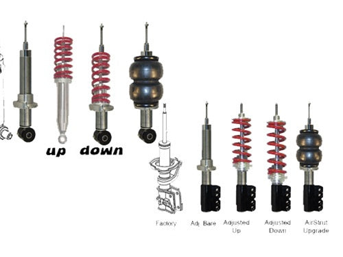 Lowboyz Lowboys 1-3"Shorter Than O.E. Front